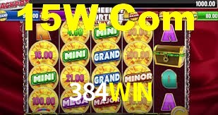 Programa VIP 384WIN