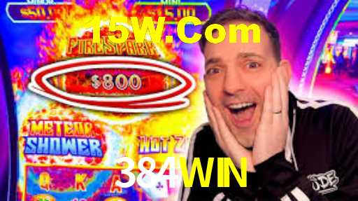 384WIN,384win.com