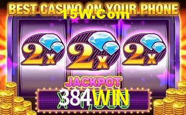 Sistemas de Segurança 384WIN